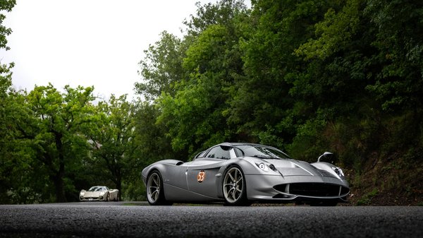 Ultimative Flohprävention für Labradore: Unschlagbare Tipps zum Schutz deines treuen Begleiters!